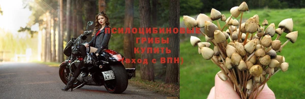прущий лед Верхнеуральск